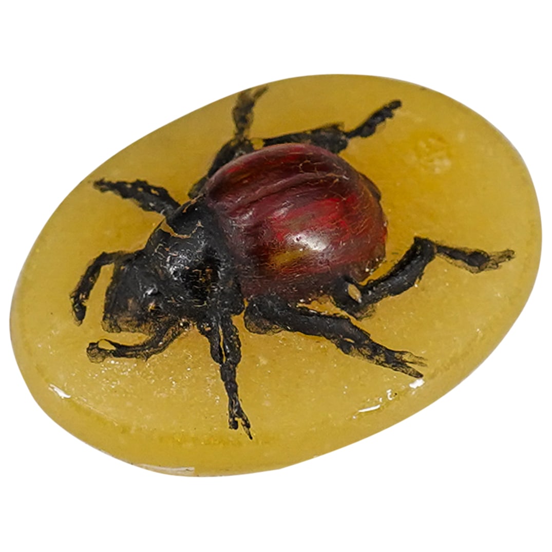 Art Nouveau Pate de Verre Beetle Cameo: DESCRIPTION: Art nouveau era pate de verre glass beetle cameo, featuring yellow glass medallion with beetle mounted on top. CIRCA: 1920's ORIGIN: France DIMENSIONS: H: 0.5" W: 1" L: 1.5" CONDITION: Go