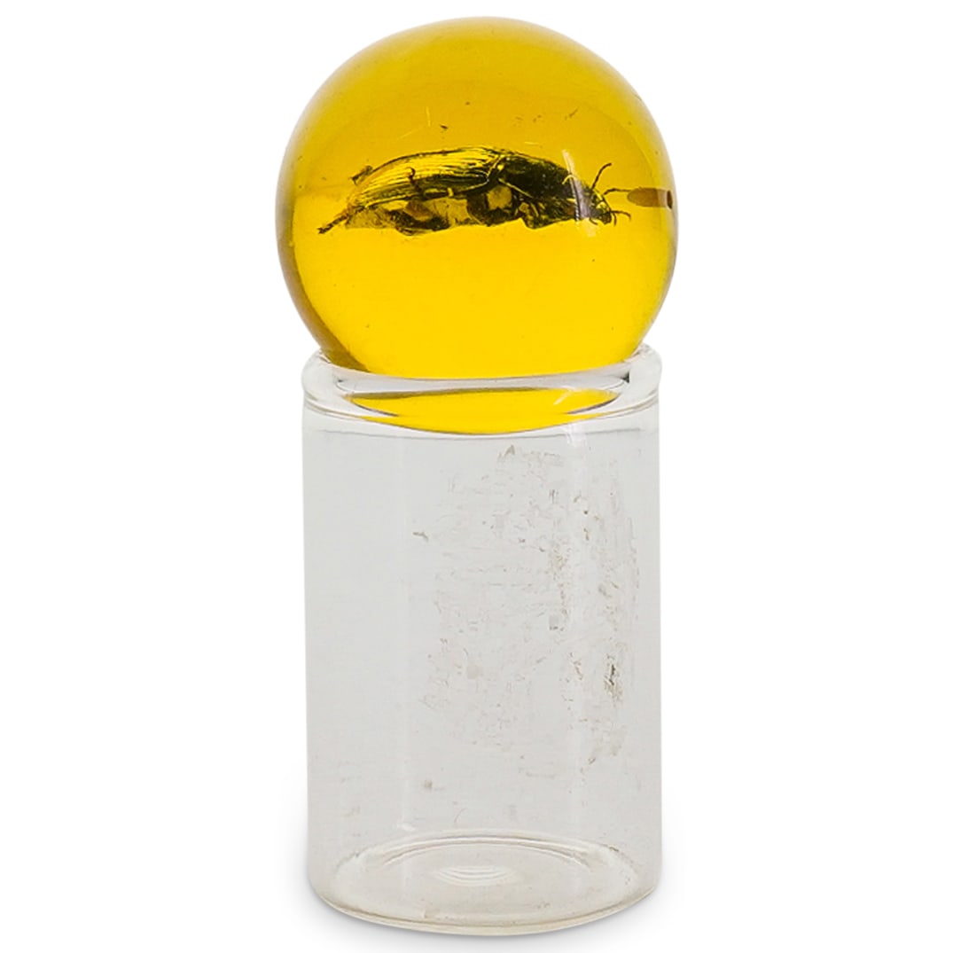 Vintage Beetle in Acrylic Specimen Oddity: DESCRIPTION: Vintage oddity, beetle specimen in yellow acrylic ball, includes open clear acrylic jar stand. CIRCA: 20th Century ORIGIN: Continental DIMENSIONS: H: 2.5" W: 1.25" L: 1.25" CONDITION: Goo