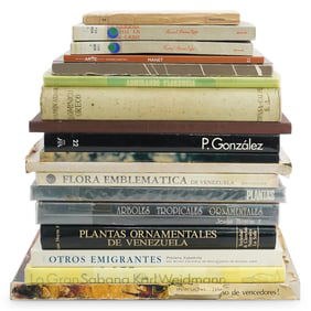 (18 Pc) Assorted Spanish Art Books Grouping