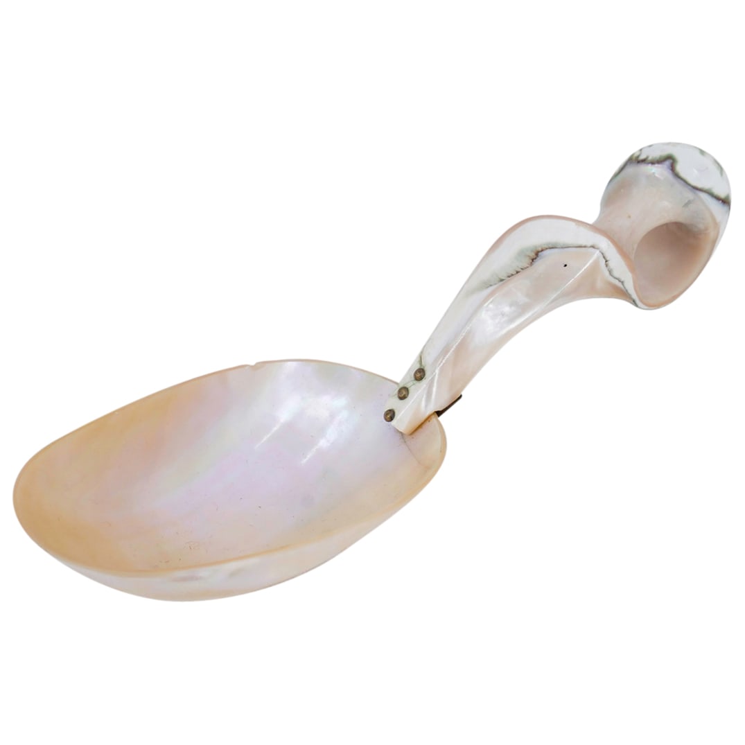 Antique Mother-Of-Pearl Large Serving Spoon (1 of 6)