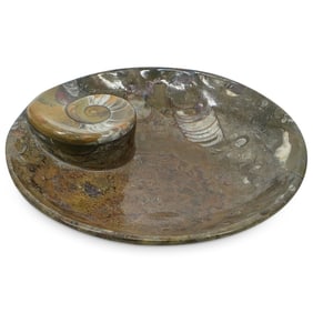 Polished Ammonite Fossil Bowl