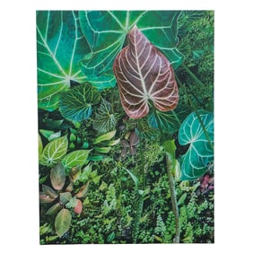 Large Tropical Foliage Photo on Canvas