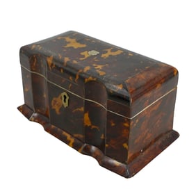 George IV Domed Carved Shell Tea Caddy