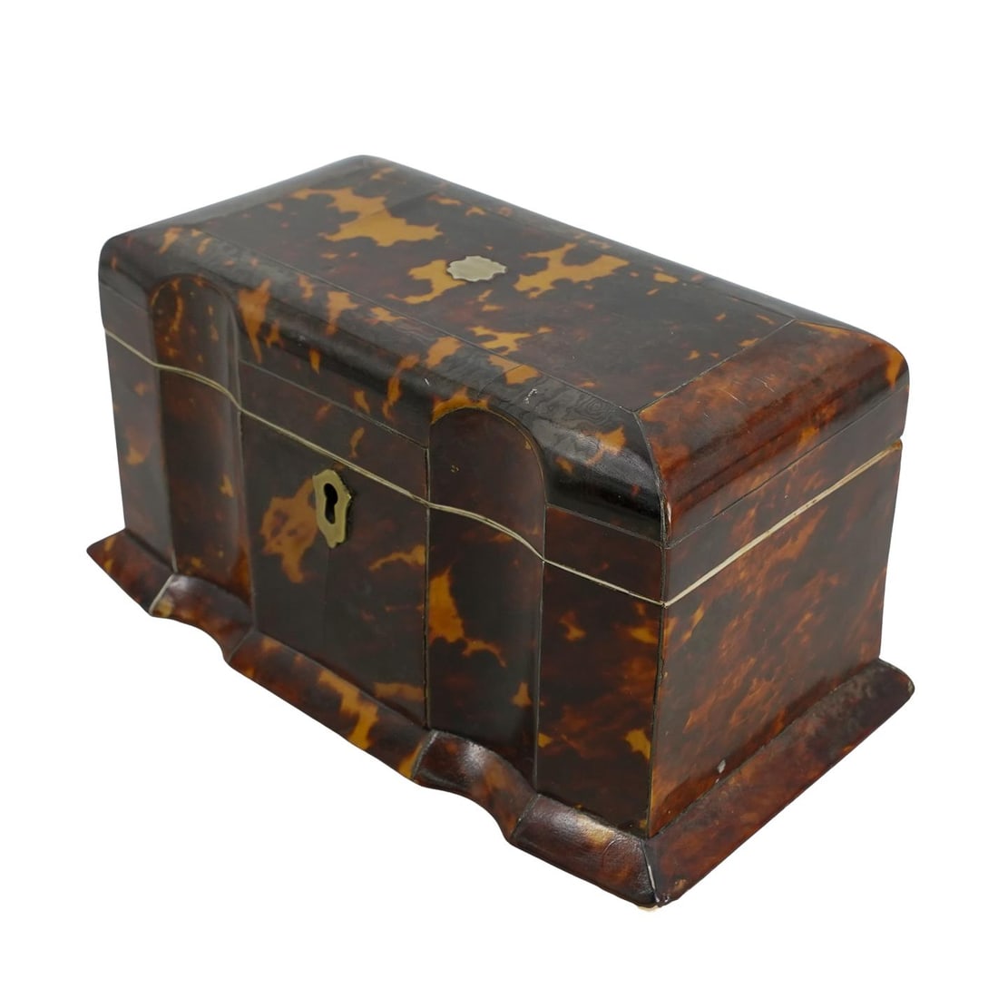 George IV Domed Carved Shell Tea Caddy: DESCRIPTION: George IV domed carved shell tea caddy, featuring two compartments, brass accents and carved bone rounded feet, interior lining, and finials. Top interior is lined with purple velvet. Pro