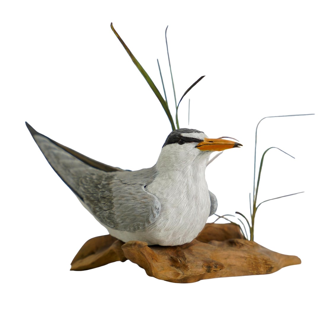 Dave and Barb Shields Least Tern Nature Scene Figurine (1 of 6)