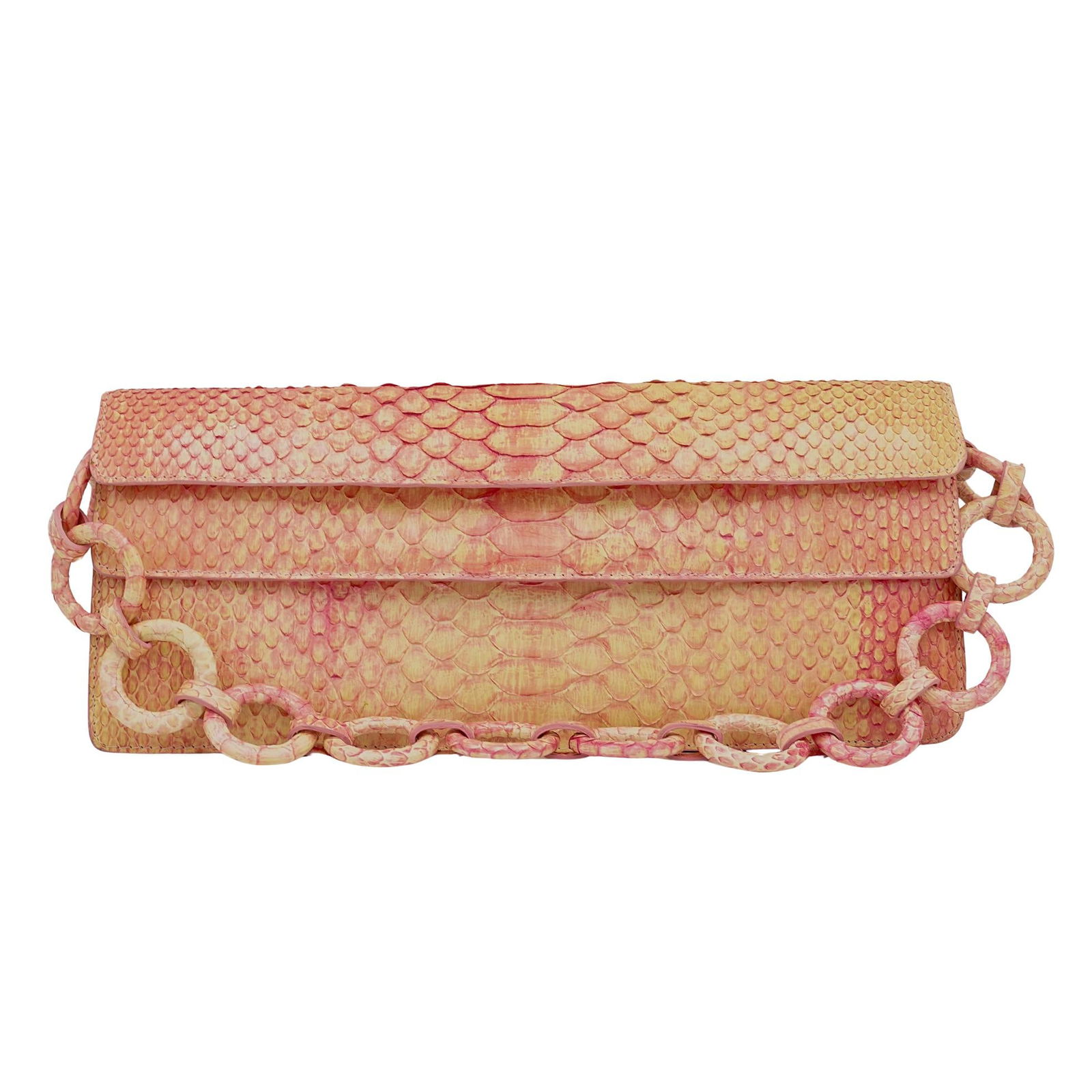 Nancy Gonzalez Genuine Python Clutch (1 of 6)