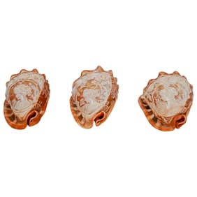 (9 pcs) Hand-Carved Cameo Conch and Cowrie Shells