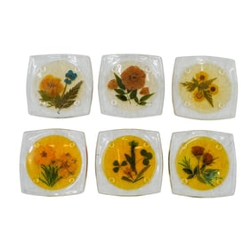 Vintage 1970s Lucite Coaster Set of 6 With Dried Flowers