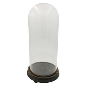 Glass Bell Jar Display Dome