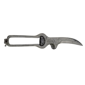 F.A. Koch Poultry Shears