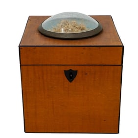 19th Century Wood and Floral Tea Caddy