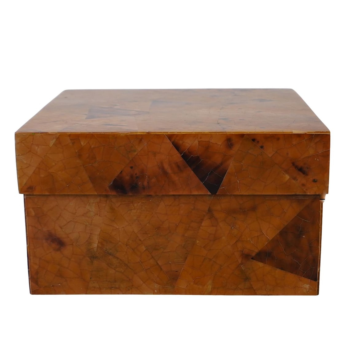 R&Y Augousti Pressed Burled Wood Box (1 of 7)