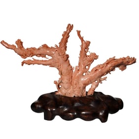 Chinese Coral Figural Group Carving