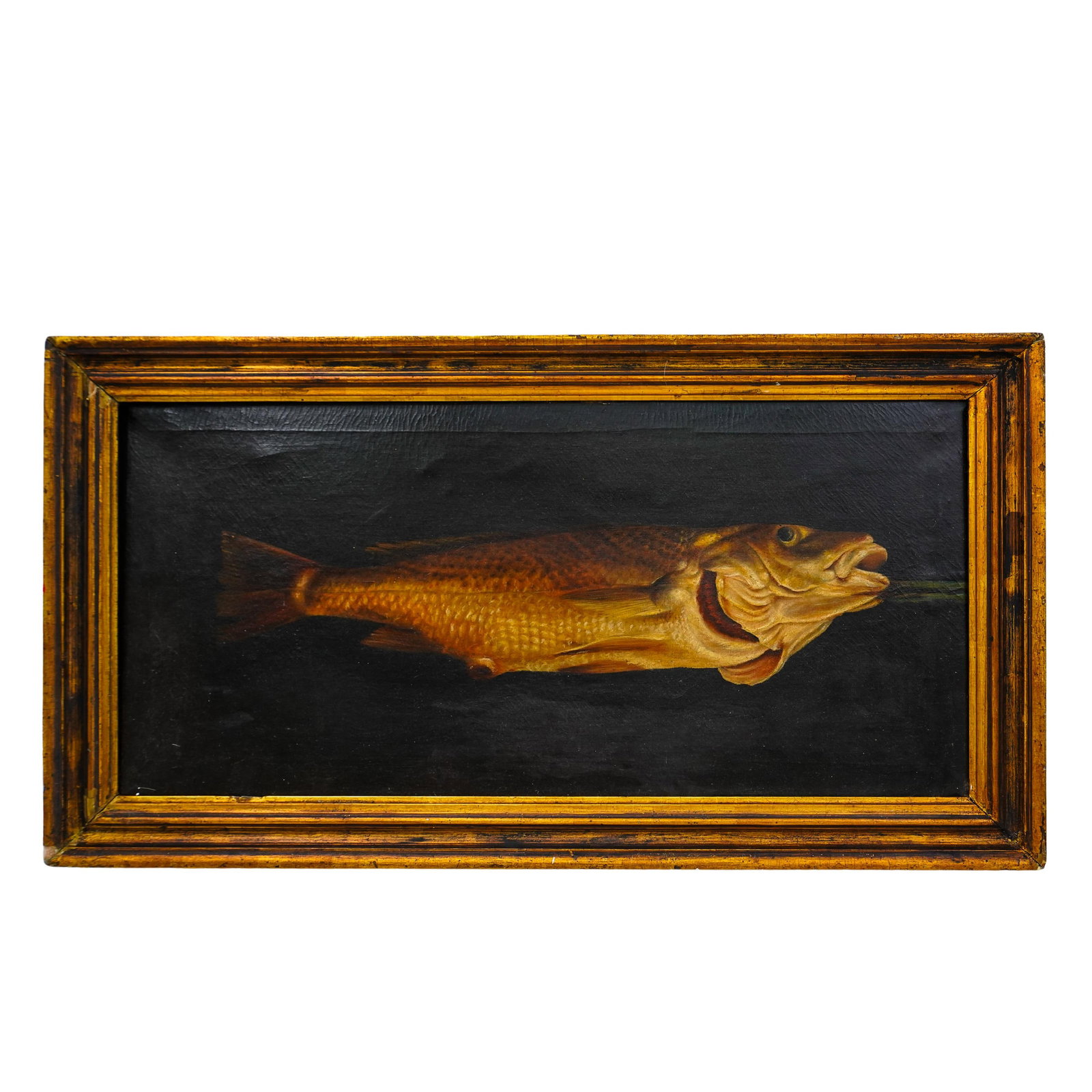 Antique Bass Oil Painting: Antique Bass Oil Painting 19th century, Continental This oil painting depicts a realistic bass, displayed horizontally against a dark background. The fish is painted in rich, golden-brown tones with d