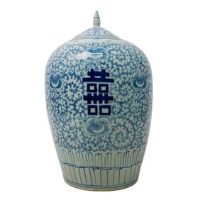 Chinese Blue and White Porcelain Ginger Jar