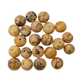 (22 pcs) Tiger Coral Beads