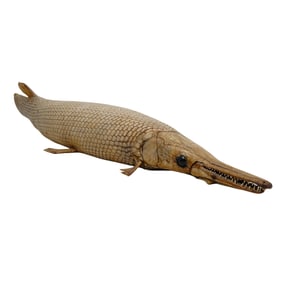 Naturally Preserved Taxidermy Gar