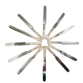 (12 Pc) Holmes & Edwards Mother Of Pearl and Silver Plated Knives