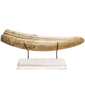 Large Scrimshaw On Lucite