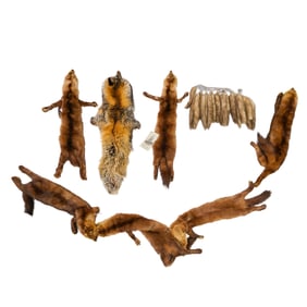 (5 pcs) Collection of Assorted Mink Fur Articles