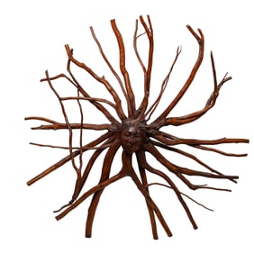 Spirit of Nature Wooden Rooted Wall Plaque