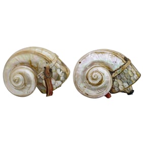 Pair indo-Persian Nautilus Shell Powder Flask