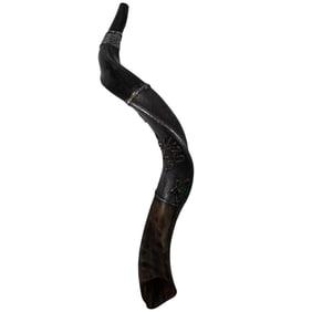 Signed Israeli Silver Horn Shofar