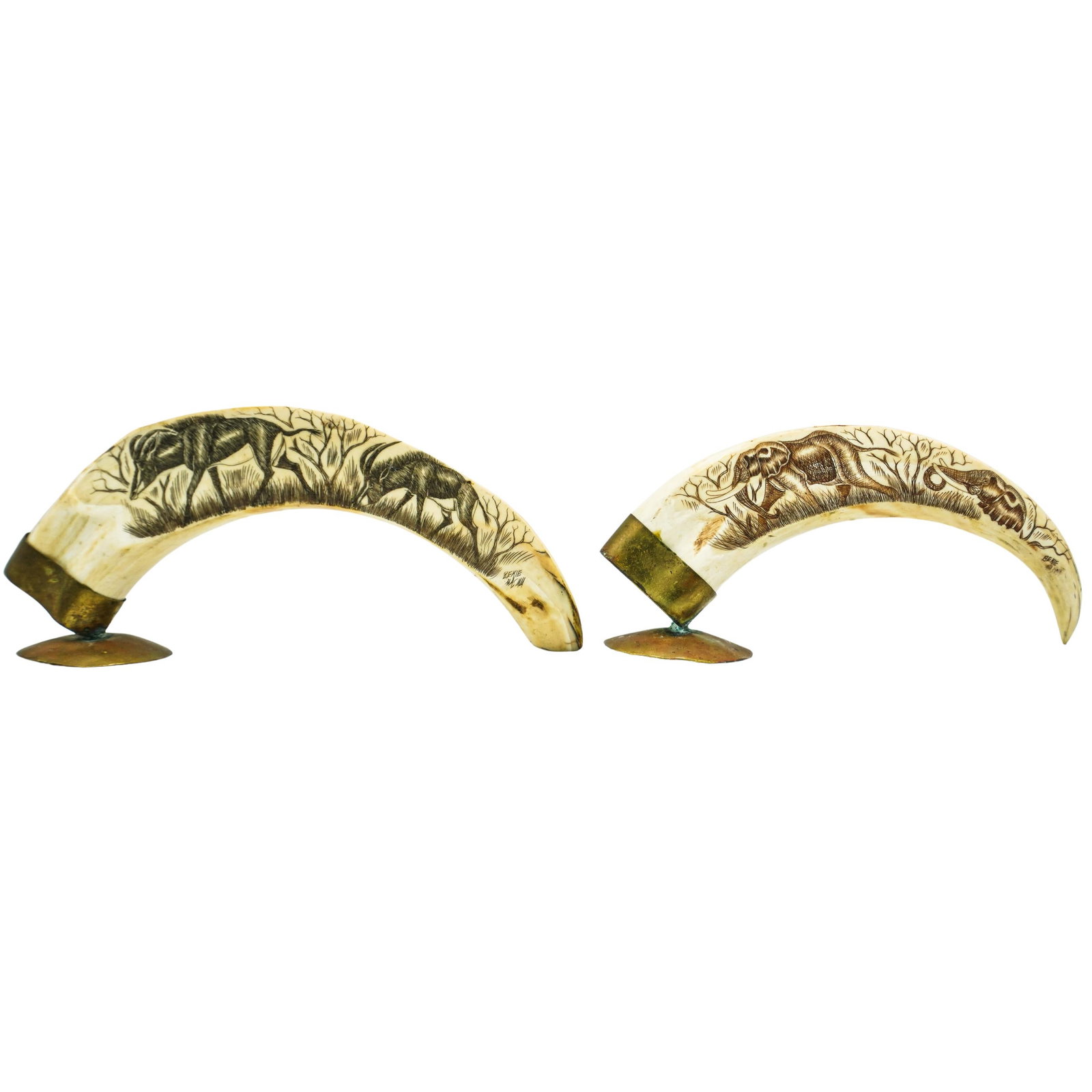 Pair of African Carved Warthog Tusk: Pair of African Carved Warthog Tusk 20th century, Africa This is a pair of carved and signed African warthog tusks featuring detailed scrimshaw artwork. Each naturally curved tusk is mounted with a br