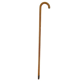 Antique Cartier Cane with 18k Gold Fittings