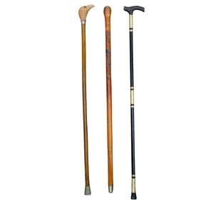 (3 pcs) Assorted Wooden Walking Sticks
