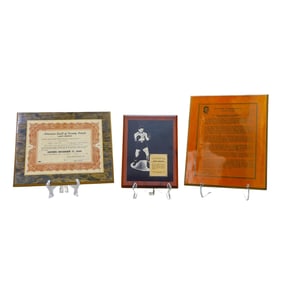 (3 pcs) Rocky Marciano (1923-1969, American) Achievement Plaque Memorabilia