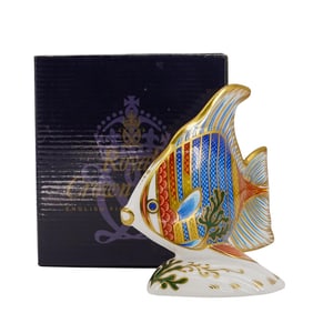 Royal Crown Derby Pacific Angel Fish Paperweight w/ Box