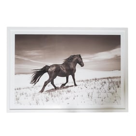 Drew Doggett (Active 21st century, American) Signed Black and White Massive Photography Print