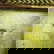 item-209058307=8