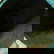 item-209058636=4