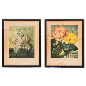 (2 Pcs) Dr. Robert Thornton "The Temple of Flora" Colored Engravings