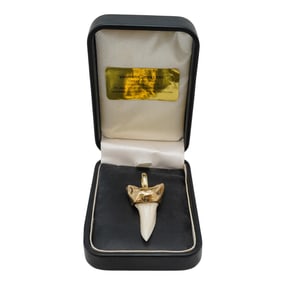 Vanmark Mako Shark Tooth Gold Pendant