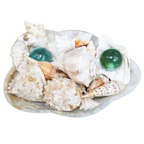 (34 Pcs) Onyx Bowl w/ Shells and Glass Orb Decorations