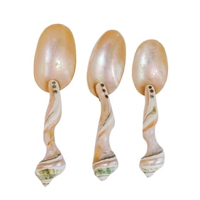 (3 pcs) Mother-of-Pearl Hand-crafted Caviar Spoons
