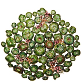 Jay Strongwater Europa Lily Pad Centerpiece Bowl