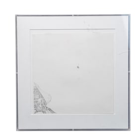 Bruce Day (American) "The Fly" Hyperrealism Pencil Drawing
