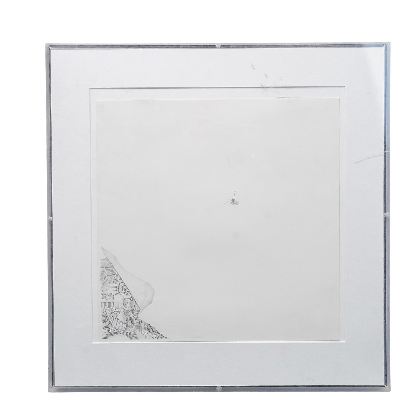 Bruce Day (American) "The Fly" Hyperrealism Pencil Drawing: Bruce Day (American) "The Fly" Hyperrealism Pencil Drawing 1976, USA A Hyperrealism pencil drawing by Bruce day depicts a fly pinned to a wall with the lower corner lifted revealing a hyperrealistic d