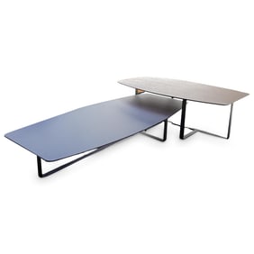 (2 Pc) Natuzzi Coffee Table Set