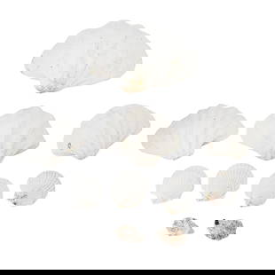 (10 Pc) Giant Clam, Oyster, and Scallop Shells: (10 Pc) Giant Clam, Oyster, and Scallop ShellsContinentalThree small giant clam shells andseven other shells.Largest: 7.5"L x 10.5"W x 3.5"H, Smallest: 2"L x 3"W x 0.5"H