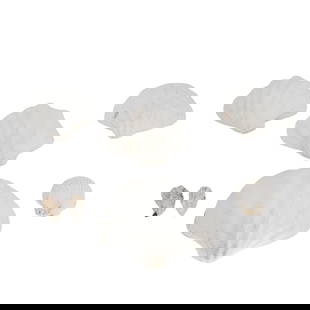 (10 Pc) Giant Clam, Scallop, and Oyster Shells: (10 Pc) Giant Clam, Scallop, and Oyster ShellsContinentalFour giant clams, four scallops, and two oyster shells.Largest: 10"L x 14"W x 4"H, Smallest: 2"L x 3.5"W x 1"H