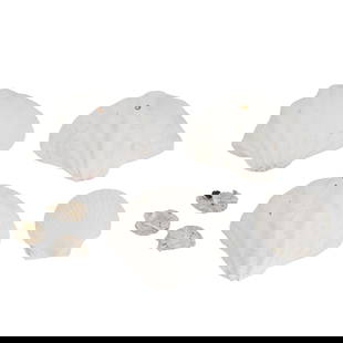 (10 Pc) Giant Clam, Scallop, and Oyster Shells: (10 Pc) Giant Clam, Scallop, and Oyster ShellsContinentalThree giant clam shells, four scallop shells, and three oyster shells.Largest: 7.75"L x 10.5"W x 3.5"H, Smallest: 2"L x 3"W x 0.75"H