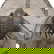 item-210268857=2