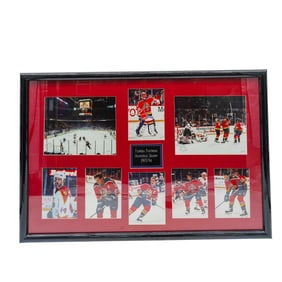 Florida Panthers Inaugural Season 1993/94 Wall Hanging