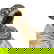 item-210631207=3