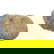 item-210631440=1